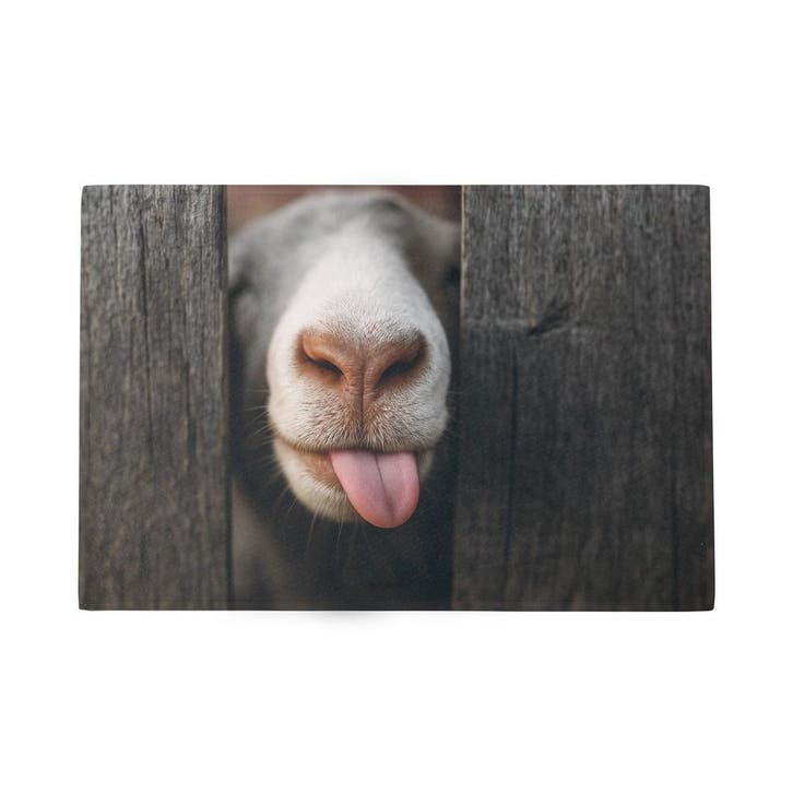 Deurmat Nieuwsgierig schaap 75x50cm, Tuin en Terras, Deurmatten, Verzenden