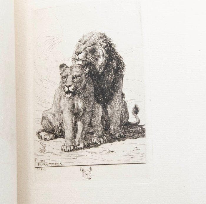 Evert van Muyden - Etched Work - 1894, Antiek en Kunst, Antiek | Boeken en Bijbels
