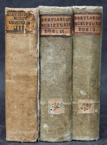 . - Breviarium Scripturisticum In Dominicalia Totius Anni