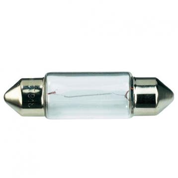Buislamp 12V/10W 2st., Ophalen of Verzenden, Nieuw