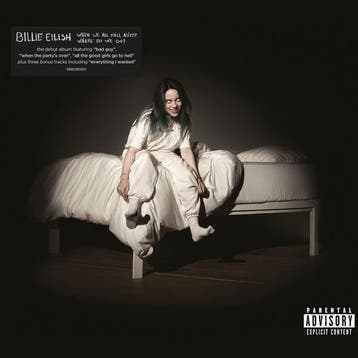 cd - billie eilish - WHEN WE ALL FALL ASLEEP, WHERE DO WE..., Verzenden, Zo goed als nieuw