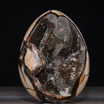 Madagaskar Septarian Ei-Geode - Diepe holte van fonkelende