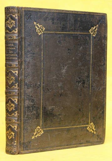Abraham de Wicquefort - Bodegrave Massaker 1672, Advis