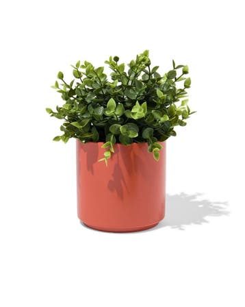 HEMA Bloempot 12x12cm oranje van €2.99 voor €2.5 sale, Verzenden