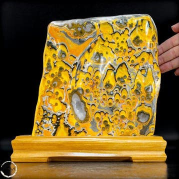 Bumblebee jaspis met uitgesproken oogstructuur in