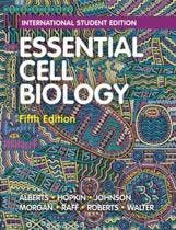 Essential Cell Biology 9780393680393, Zo goed als nieuw