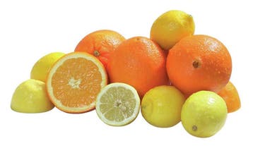 Bartscher Citruspers Joy | 230V | 210x320x415mm, Witgoed en Apparatuur, Juicers, Ophalen of Verzenden, Nieuw