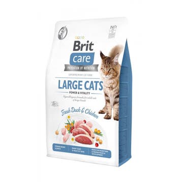 VERSPIL NIET, BESPAAR WEL NU MET KORTING: Brit Care - Large, Ophalen, Kat