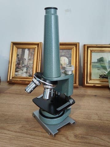 Microscoop - 1950-1960 - Duitsland - Leitz, Wetzlar