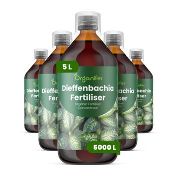 Dieffenbachia Vloeibare Meststof - 5x1 liter, Verzenden, Mest