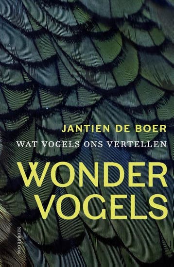 Wondervogels | Jantien Boer | Nieuw, Ophalen of Verzenden, Nieuw, Jantien Boer