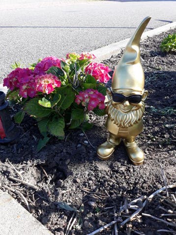 Tuinkabouter Goud met zwarte zonnebril groot deco 41cm, Ophalen of Verzenden, Nieuw, Kunststof, Tuinkabouter