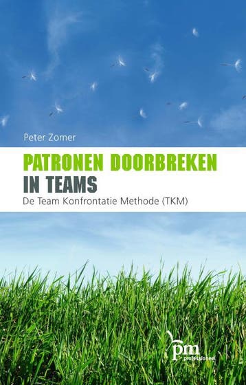 Patronen Doorbreken In Teams | P. Zomer | Nieuw, Ophalen of Verzenden, Nieuw, P. Zomer