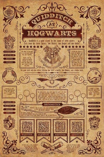 Harry Potter Poster Quidditch at Hogwarts 91 x 61 cm, Verzamelen, Harry Potter, Ophalen of Verzenden, Nieuw