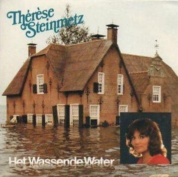 vinyl single 7 inch - ThÃ©rÃ¨se Steinmetz - Het Wassende, Verzenden, Zo goed als nieuw, 7 inch, Pop