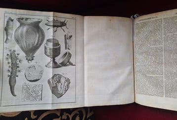 Chomel + Chalmot - Huishoudelyk woordboek, Vervattende vele