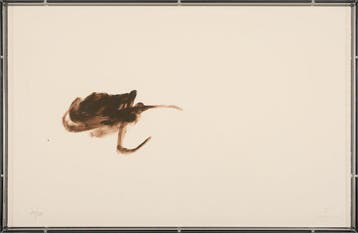 Antoni Tapies (1923-2012) - Lithografie - 1993 -