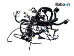 Kabelboom Ducati Diavel 2019-2022 (5101D861C-5), Verzenden, Gebruikt