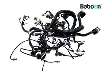 Kabelboom Ducati Diavel 2019-2022 (5101D861C-5), Verzenden, Gebruikt