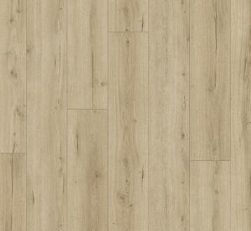 Laminaat rechte plank  |  Parador Trendtime 6 Eiken Loft, Ophalen, Nieuw