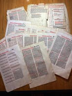 Wolfgang Hopyl (14..-1522) - 20 Post- Inkunabel Buchseiten