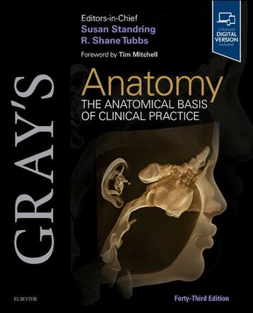 9780443124785 Grays Anatomy- Grays Anatomy, Verzenden, Nieuw, Susan Standring