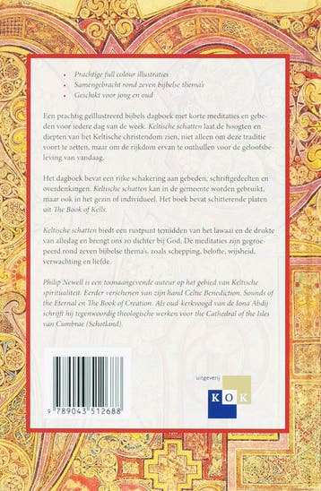 Keltische schatten 9789043512688 P. Newell, Boeken, Verzenden, Gelezen, P. Newell