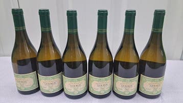 2024 Herdade da Maroteira, Cem Reis Viognier - Alentejo - 6, Nieuw