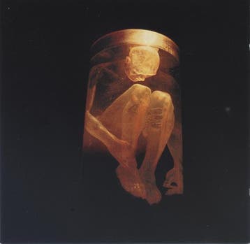 Alice In Chains - Nothing Safe, Ophalen of Verzenden, Gebruikt