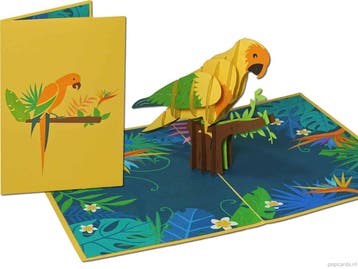 Kleurrijke vogel papegaai pop-up wenskaart, Verzenden, Nieuw