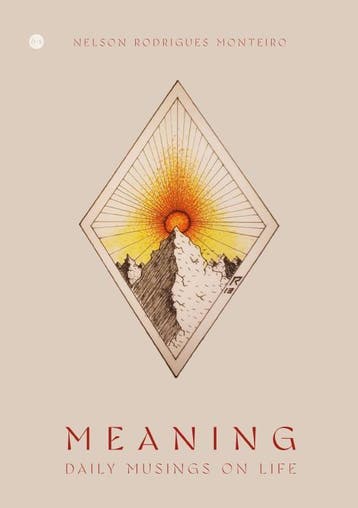 Meaning - Nelson Rodrigues Monteiro 9789465098760, Verzenden, Gelezen, Nelson Rodrigues Monteiro