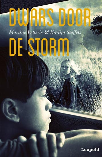 Dwars door de storm (Goed), Verzenden, Gelezen, Martine Letterie