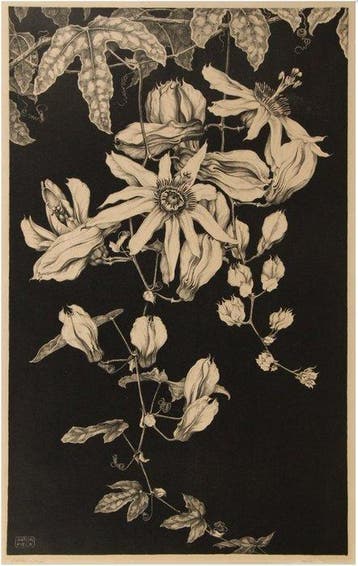 Anton Pieck (1895-1987) - Passiebloemen