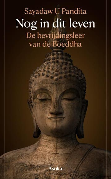 Nog In Dit Leven | Sayadaw Pandita | Nieuw, Ophalen of Verzenden, Nieuw, Sayadaw Pandita