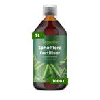 Schefflera Vloeibare meststof - 1 liter, Verzenden, Mest