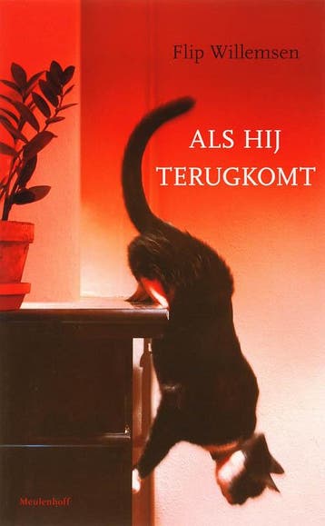 Als hij terugkomt - F. Willemsen 9789029079761, Verzenden, Zo goed als nieuw, F. Willemsen
