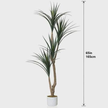 Realistische Kunst Dracaena Marginata Boom - 165cm Hoge Kuns, Huis en Inrichting, Verzenden