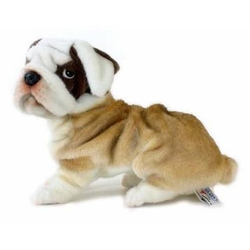 Hansa bulldog knuffel - pluche - 30 cm - hondenknuffel, Verzenden, Nieuw