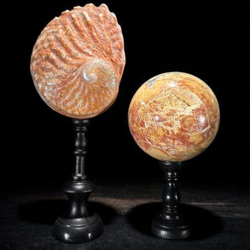 Decoratief ornament - NO RESERVE PRICE - Pair of decorative