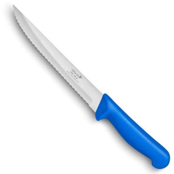 Déglon Gekarteld fileermes – 21 cm – ergonomisch – HA, Ophalen of Verzenden, Nieuw, Overige materialen