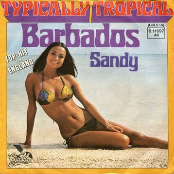 vinyl single 7 inch - Typically Tropical - Barbados, Verzenden, Zo goed als nieuw, 7 inch, Pop