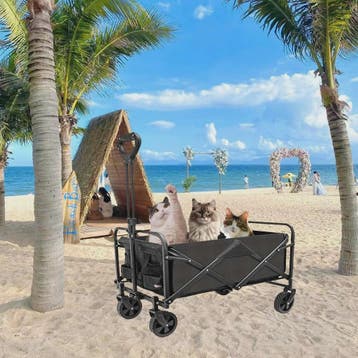 Opvouwbare Bolderkar - Grote Capaciteit, All-Terrain, Campin, Verzenden, Nieuw