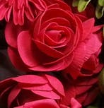 Camelia Ranonkel Rood Foambloem bundel 5 stuks, Ophalen of Verzenden, Nieuw