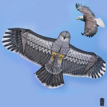 Vliegende Roofvogel Vlieger - Grote Adelaar Vogelverschrikke