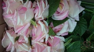 Zijden Roos Groot Roze Peach 60 cm per stuk, Ophalen of Verzenden, Nieuw