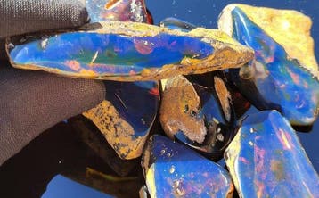 Blauwe Amber - Hoge Kwaliteit!- 68 g