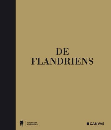 De Flandriens - Benno Wauters 9789089311238, Verzenden, Zo goed als nieuw, Benno Wauters