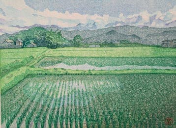 Rural, rice field - NO RESERVE ! - Junichi Mibugawa  (b