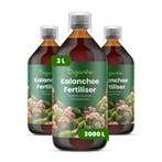 Kalanchoë vloeibare meststof - Set 3x1 liter, Verzenden, Mest