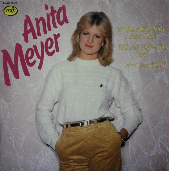 LP gebruikt - Anita Meyer - In The Meantime I Will Sing, Cd's en Dvd's, Vinyl | Nederlandstalig, Zo goed als nieuw, Verzenden